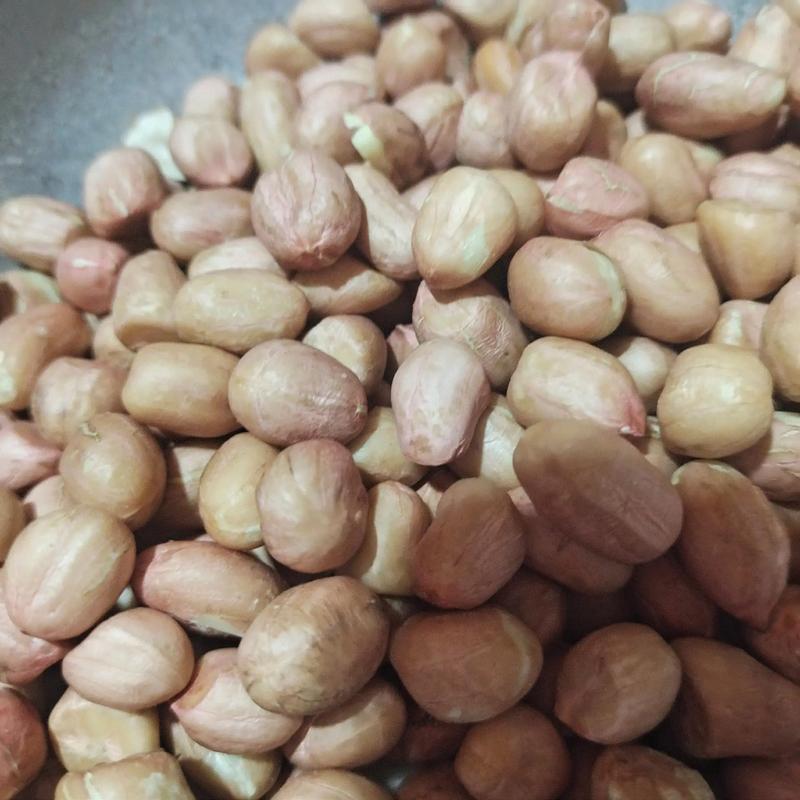 解锁贵明食品的小秘密——如何制作美味又健康的零食